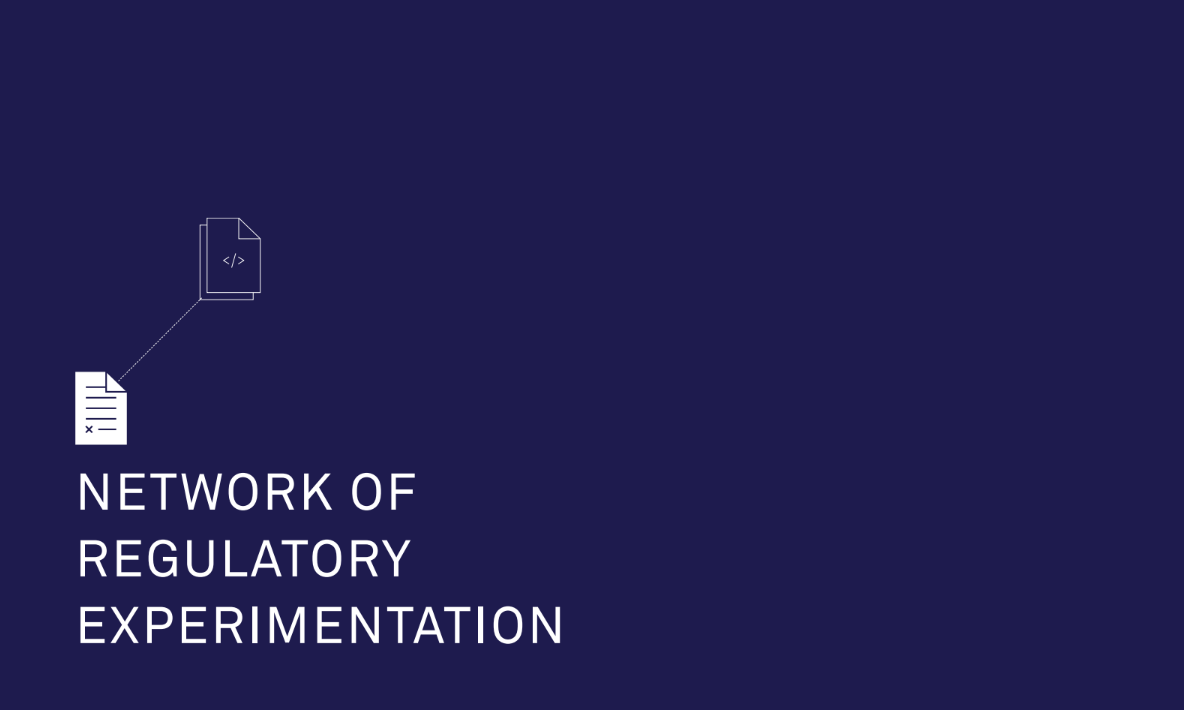 The Network of Regulatory Experimentation A peer-to-peer community of regulatory experimenters